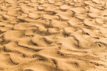 Golden waves texture of sand dunes on river bank