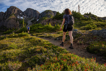 Adventurous girl hiking the beautiful trail in the Canadian Mountain Landscape during a vibrant summer evening. Taken at Mt Arrowsmith, near Nanaimo, Vancouver Island, BC, Canada.