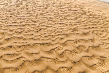 Golden waves texture of sand dunes on river bank