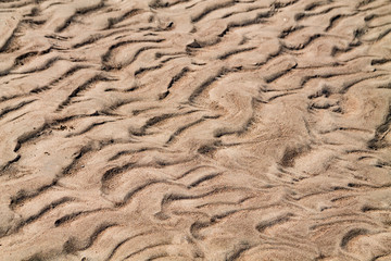 Golden waves texture of sand dunes on river bank