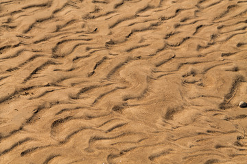 Golden waves texture of sand dunes on river bank