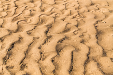 Golden waves texture of sand dunes on river bank