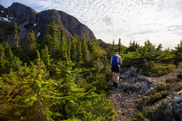 Obraz premium Adventurous girl hiking the beautiful trail in the Canadian Mountain Landscape during a vibrant summer evening. Taken at Mt Arrowsmith, near Nanaimo, Vancouver Island, BC, Canada.