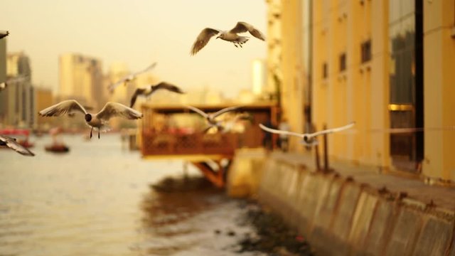 This video has took in Dubai which old city side Deira.