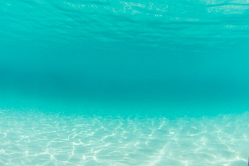 Looking under the water in the ocean