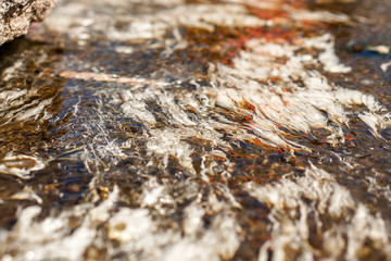 Background and textured of albumen in clear natural hot spring watercourse caused by the cracking of eggs that tourists bring to boil. It's look to white hair and art of nature.
