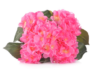 Artificial Pink Hydrangea flowers isolated on white background.