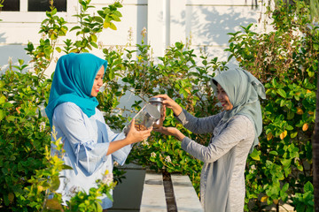 portrait of Two beautiful hijab  women shared coffee and almonds together in front of their coffee...