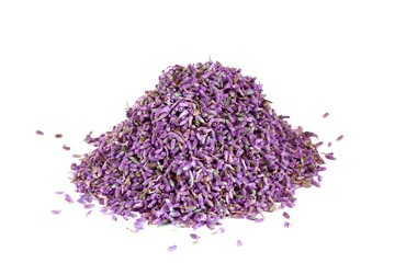 Obraz na płótnie Canvas heap of Dried lavender flowers for aroma, cosmetics,gift,craft,healthcare therapy concept in white background top view