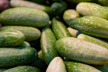 Pepinos verdes