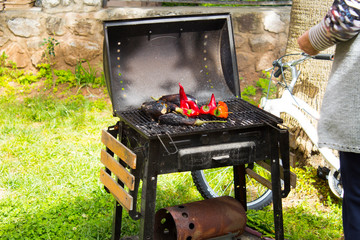 Meat and vegetables cooked on a barbecue