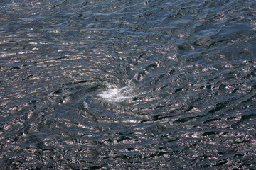 Dangerous whirlpool currents caused by tides in the Gulf Islands near Vancouver Island, British...