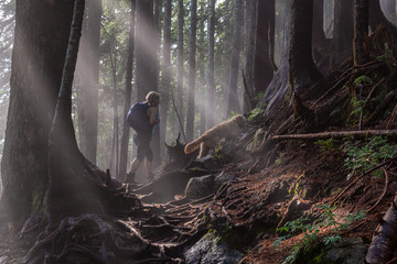 Adventurous girl hiking with a dog on a trail in the woods during a foggy and sunny day. Taken in...