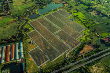 Obraz premium Aerial view of solar cell panel in countryside landscape with traffic asphalted parallel road and a fields 