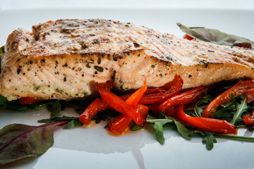 macro view of baked salmon with green salad and arugula