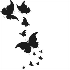 Fototapeta premium 10705