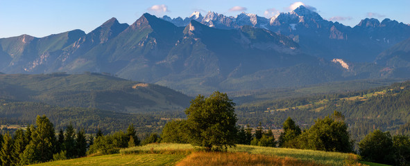 Panorama of the Tatra Mountains seen on a summer morning - obrazy, fototapety, plakaty
