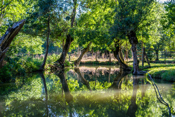 Marais Poitevin, Charente-Maritime, France.