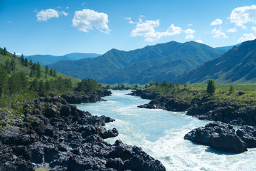 Fototapeta na wymiar turquoise rapid mountains river flow through volcanic rocks, katun river, altai