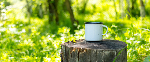 white enamel cup on aged stump in wild forest, sonny day panoramic shot