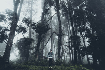 In the mist and rain forest, darkness