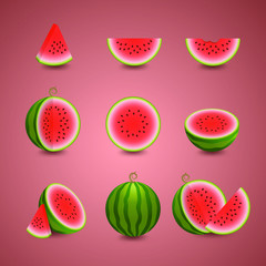 Vector illustration of juicy whole watermelons and slices