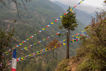Flying colorful buddhist prayer flags with mantra waving in the wind near Phakding village in...