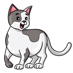 Cat Cartoon Style