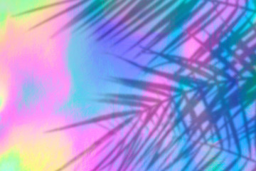 Trendy colored holographic background with palm leaves shadows in 90s style. Synthwave. Vaporwave...