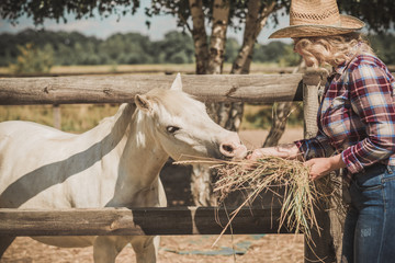 American country style,  woman talking to her horse. Portrait of riding horse with woman in plaid shirt, horse with lady at rancho 