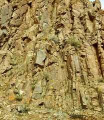 Volcanic rock,  Stony Canyon