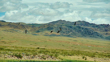 Fototapeta na wymiar Mountain plateau in the area Zavkhan River