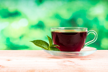 glass of tea on green background