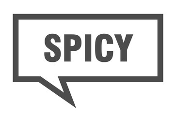 spicy sign. spicy square speech bubble. spicy