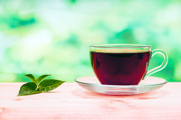 glass of tea on green background
