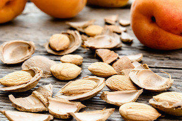 Apricots near pits and apricot pits on the background of old boards. Apricot pits for the manufacture of tablets and drugs.