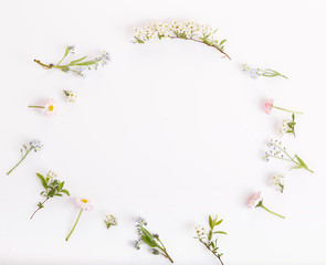 Festive flowers frame, composition on white background. Overhead top view, flat lay, square. Copy space.