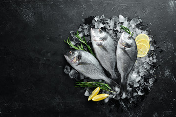 Dorado fish with lemon and rosemary on ice. Top view. Free space for your text.
