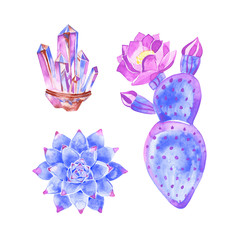 Rosette shaped succulents Echeveria design set. Purple, pink, blue colored flowers on white. Desert decorative plants collection. Watercolor style. All elements are isolated and editable