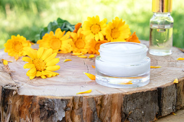 Nourishing cream with calendula extract with fresh calendula flowers on a wooden background in nature. - obrazy, fototapety, plakaty