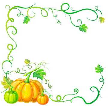 autumn frame with pumpkins and vines, leaves and place for text. Thanksgiving, halloween or corn festival card template, border or banner with pumpkins, leaves, curly tendrils. pumpkins concept