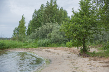City Riga, Latvia Republic. Lake beach with trees and shrubs. Juny 28. 2019