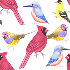Watercolor Birds in triad color scheme- red, yellow, blue