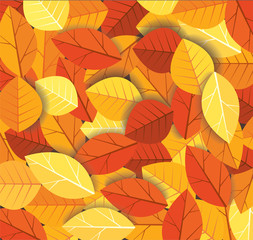 Autumn leaves background vector illustration EPS10