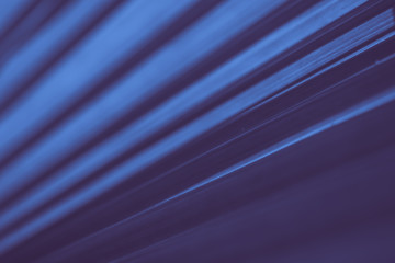 Abstract blue floral blurred background. Tropical palm leave backdrop