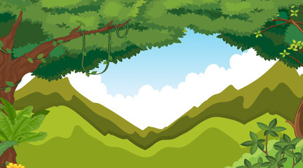 Empty background nature scenery
