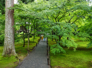 京都　三千院　有清園