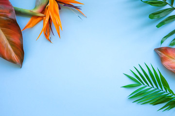Background of tropical flowers, strelitzia and palm leaves. Place for text. Flat lay.  Summer...