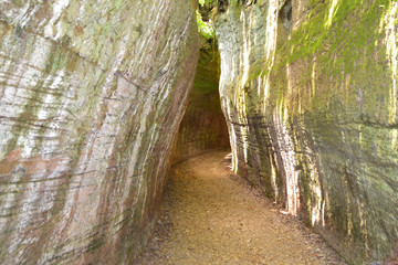 Etruscan Via Cava, excavated roads excavated as vertical cliffs in tuff bedrock. Pitigliano, Grosseto, Tuscany, Italy