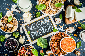 Vegan plant protein sources